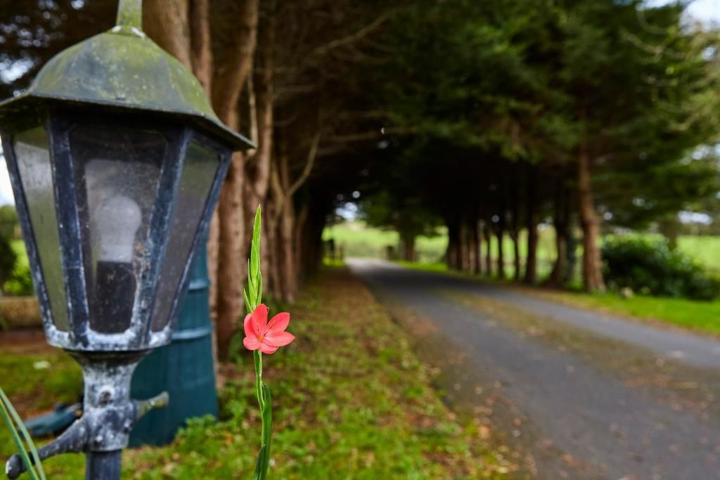 Шале Mount Brandon Cottages Graiguenamanagh Graiguenamanagh-75